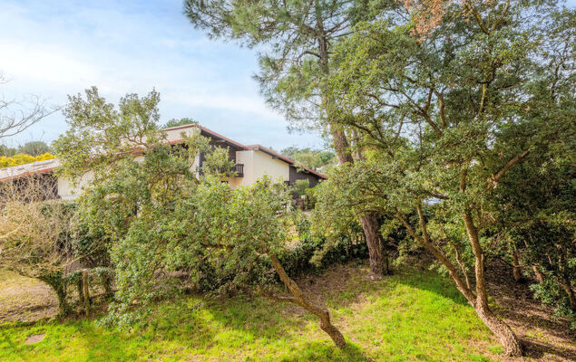 Pyrénées - Photo 5