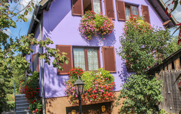 Résidence jaune et rose - Photo 12