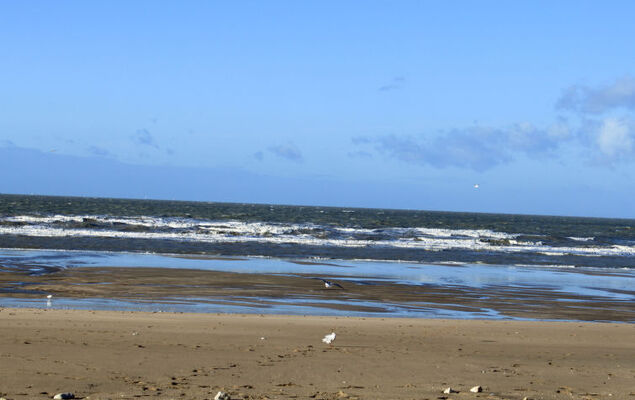 Le Garden Fleuri - Photo 23