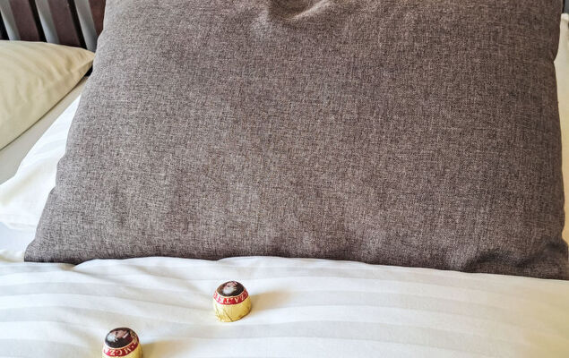 Wohnung 413 Bergblick - Photo 22