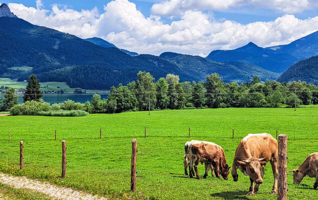 Wohnung 413 Bergblick - Photo 35