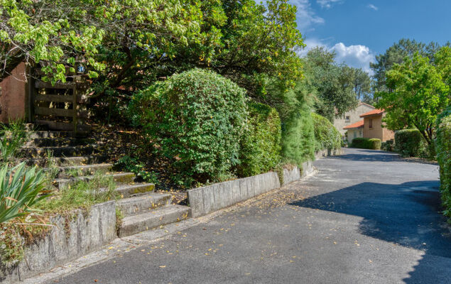 Les Cracks - Les As - Photo 18